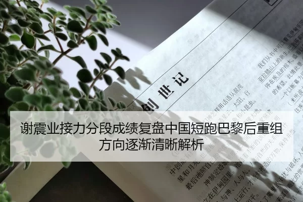 谢震业接力分段成绩复盘中国短跑巴黎后重组方向逐渐清晰解析（jiuyou）
